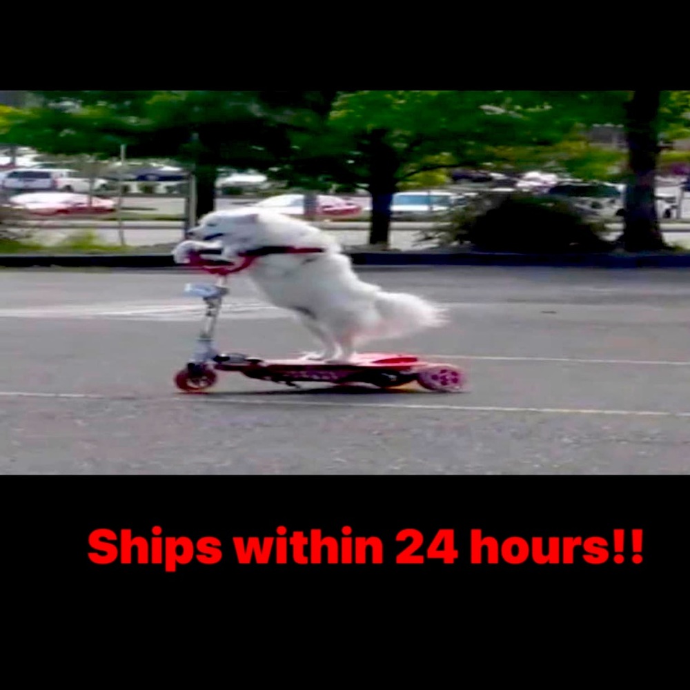 Ships in 24 hrs